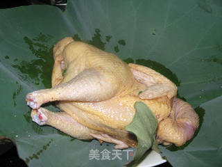 【浙菜】叫化童鸡的做法步骤:4