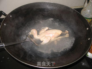 【徽菜】黄山炖鸽的做法步骤:3