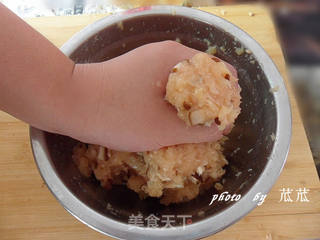 鸡肉丸子 (简单,美味)的做法步骤:8
