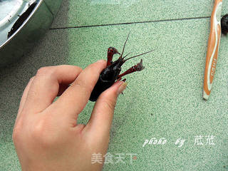 红烧小龙虾 (让你停不下的美味)的做法步骤:2
