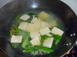 【养生汤煲】白菜粉丝豆腐汤的做法步骤：7