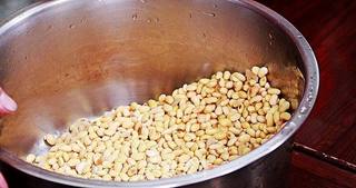 港式甜品豆腐花(顺便附送豆腐做法)的做法步骤:4