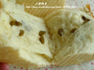 葡萄干奶香土司的做法步骤：6