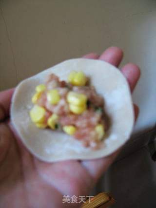 猪肉玉米饺子----第一次包的饺子的做法步骤:16