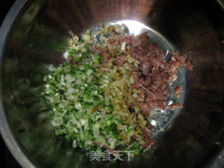 杂蔬饺子的做法步骤:4