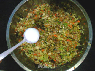杂蔬饺子的做法步骤:14