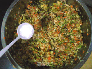 杂蔬饺子的做法步骤:15