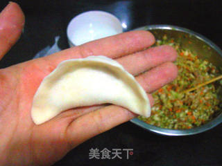 杂蔬饺子的做法步骤:20
