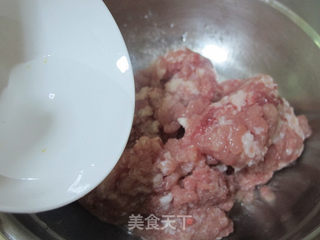 全手工圆白菜鲜肉锅贴的做法步骤:2