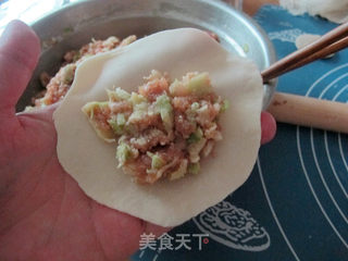 全手工圆白菜鲜肉锅贴的做法步骤:19