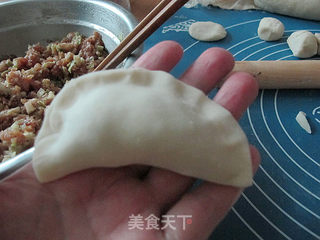 全手工圆白菜鲜肉锅贴的做法步骤：20