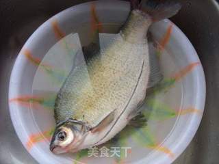 家常红烧鳊鱼的做法步骤:2