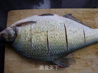 家常红烧鳊鱼的做法步骤:3