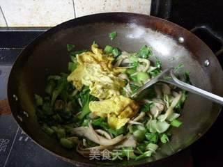 平菇炒蛋的做法步骤:11