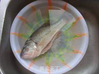 蒸鲈鱼的做法步骤:2