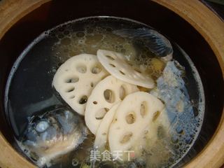 鲫鱼莲藕汤的做法步骤：6