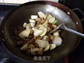 苏北风味--------辣萝卜烧肉的做法步骤:9