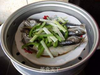 蒸蚝香青占鱼的做法步骤:8