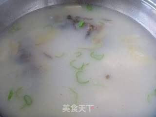 【养生汤煲】奶白浓汤---鲫鱼豆腐汤的做法步骤：14