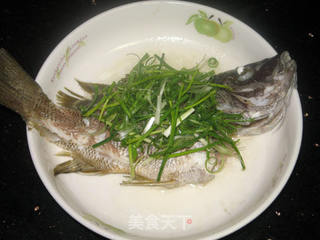粤式清蒸鱼的做法步骤:5