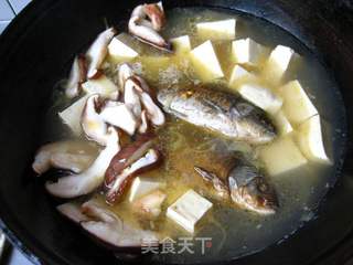 鲫鱼豆腐汤的做法步骤:7