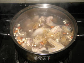 秋天的靓汤--川贝银耳炖鹧鸪的做法步骤:5