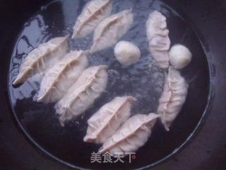 紫包菜肉馅饺子+韭菜花肉馅饺子的做法步骤：16