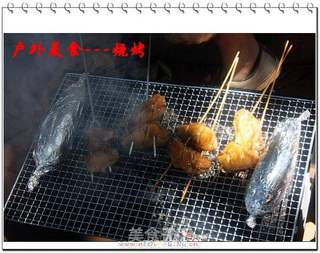 户外美食9---烧烤的做法步骤:9