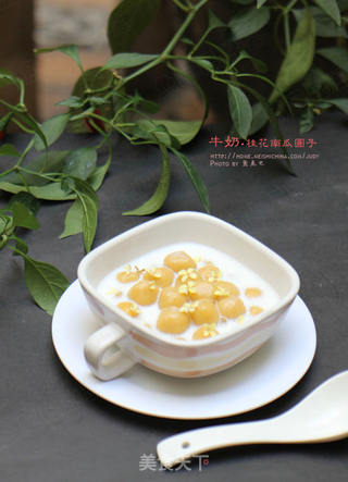 牛奶桂花南瓜圆子---秋天的甜蜜的做法步骤:17