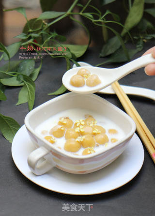 牛奶桂花南瓜圆子---秋天的甜蜜的做法步骤:19