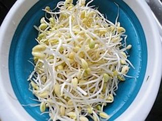 豆芽炖粉丝的做法步骤:4