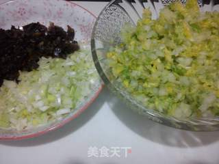 猪肉白菜包子的做法步骤:5