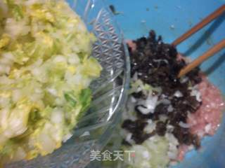 猪肉白菜包子的做法步骤:9