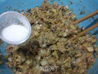 猪肉白菜包子的做法步骤：11