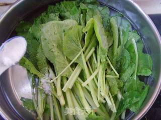 小白菜海米包的做法步骤:2