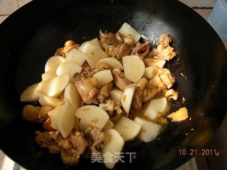 东北乱炖——萝卜萝卜干炖鸡肉的做法步骤:2
