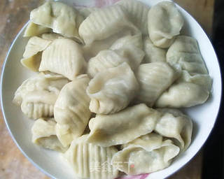 牛肉大葱水饺的做法步骤:9
