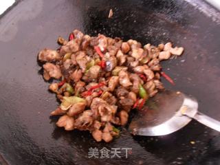 孜然麻辣鸡丁的做法步骤：10