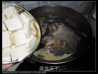 鲤鱼炖豆腐的做法步骤:7