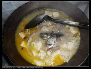 鲤鱼炖豆腐的做法步骤:8