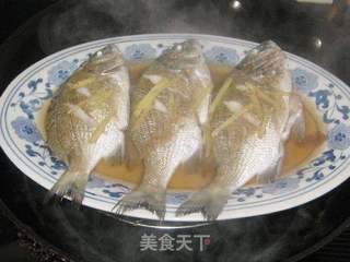 清蒸加吉鱼的做法步骤:3