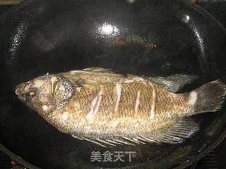 红烧海鲫鱼的做法步骤:3