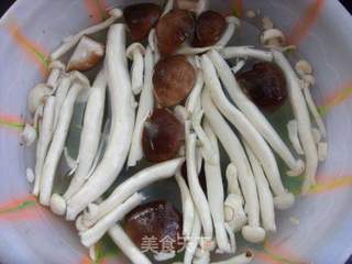 冬日添温暖---------------鲜菇土鸡煲的做法步骤:7