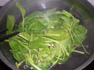 菠菜拌粉丝的做法步骤:4