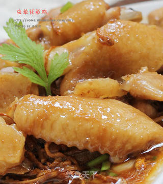 不寒不燥,冬季进补好选择---虫草花蒸鸡的做法步骤:12