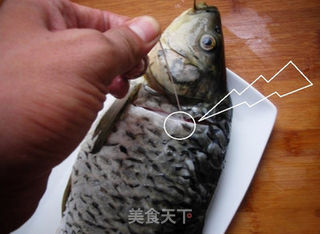 酸菜鱼的做法步骤:2