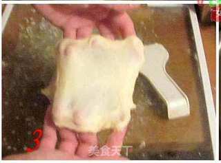 心花怒放——花式椰蓉面包(附详细过程)的做法步骤:7