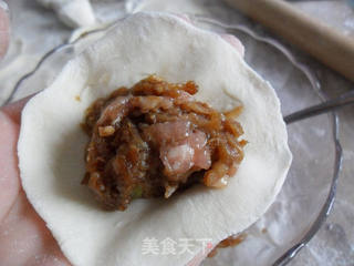 茄子肉馅水饺的做法步骤:6