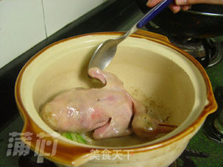 柱侯焗乳鸽的做法步骤:2