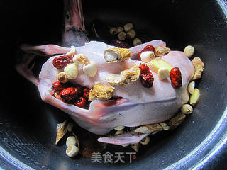 水鸭花旗参汤的做法步骤:6